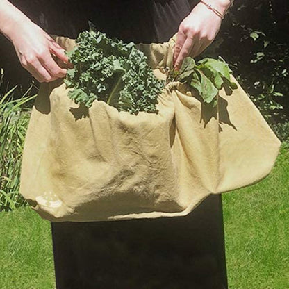 e60dcff3-4e52-4ca8-abb1-3a3117c00d0e