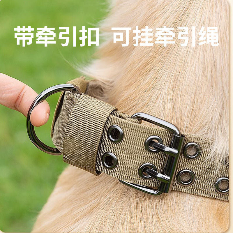 4728a9d6-f61c-4cff-a13e-890e22cdc498