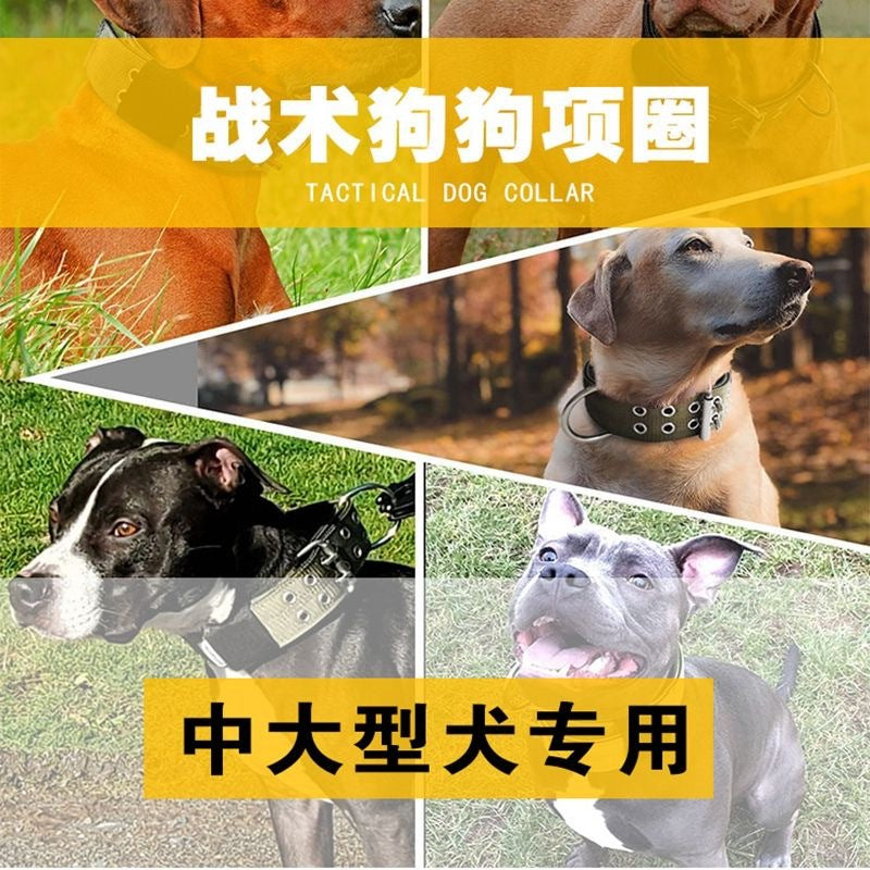 0c2e182a-5216-4804-a80a-fb9720467f35