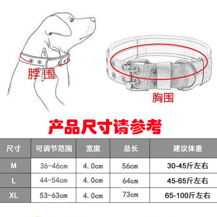 5369c16f-016c-4954-948f-0e5b85dca233