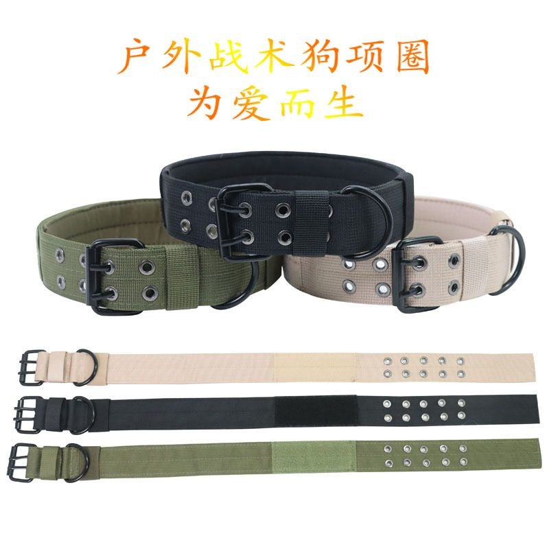 6a925c51-aec5-49ae-b56c-9bf3bceb87be