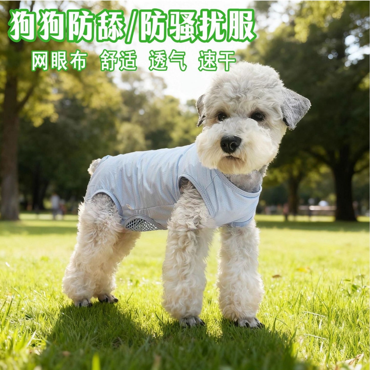 2ec6a158-a8f6-4057-9699-68a26682fa50